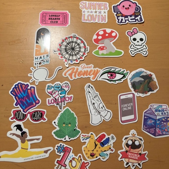 54 Rare Hard to Find Assorted Travel Outdoor Nature VSCO Schitts Creek stickers - Picture 5 of 6